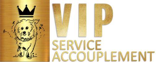 logo-vip-service-accouplement7